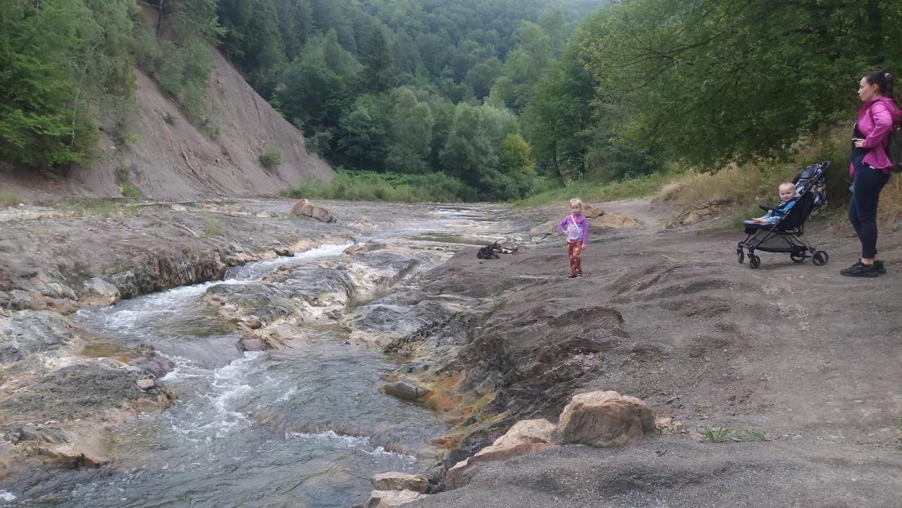 Садиба Федорчуків Гірська Хатина 1 Sheshory Eksteriør bilde